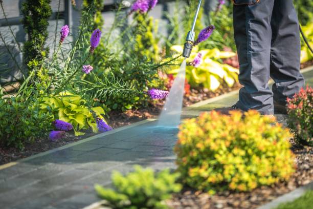 Best Pool Deck Cleaning  in Greensburg, IN